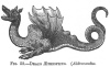 FIG. 52.—DRACO ÆTHIOPICUS. (<i>Aldrovandus</i>.)