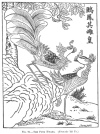 FIG. 91.—THE FUNG HWANG. (From the <i>’Rh Ya</i>.)