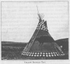 YELLOW BUFFALO TIPI.