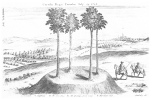 Plate 34. Carvilii Regis Tumulus Iuly 29 1723.<br> Sorbiodunum. C. Salisbury. D. the Icening street road. F. Harnham hill.