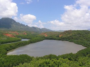 Alekoko Menehune Fishpond. Photographer, Collin Grady. from Wikimedia Commons under a Creative Commons Attribution ShareAlike 2.0 License (http://commons.wikimedia.org/wiki/Image:Alekoko_fishpond.jpg).