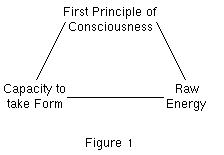 [Figure 1]