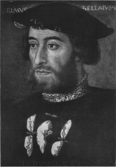 Portrait of Guillaume du Bellay, Museum of Versailles, No. 3151