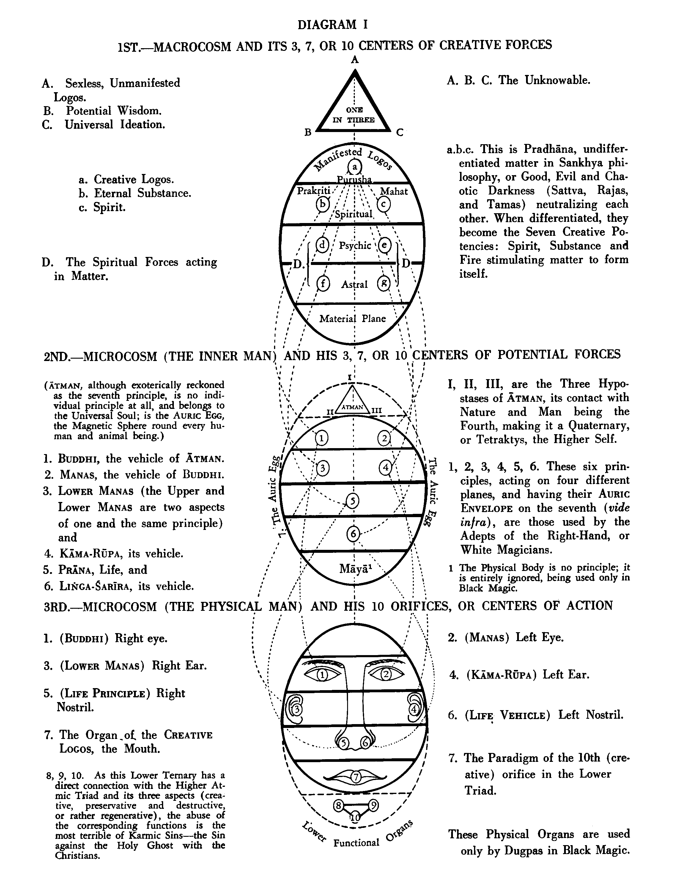 Macrocosm