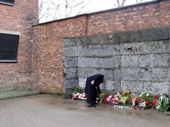 David Irving lays flowers at execution wall