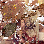 Storm-Battered Photos Become Public Flotsam