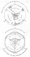 PLATE XLVII. (<i>From Vestiges of the Molten Globe</i>; William Lowthian Green, 1875)