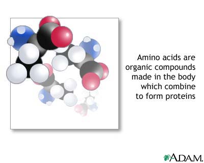Amino acids Amino acids