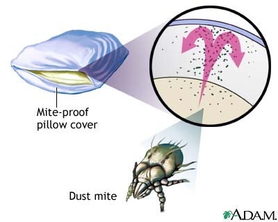 Dust mite-proof pillow cover Dust mite-proof pillow cover