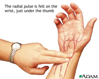 Radial pulse