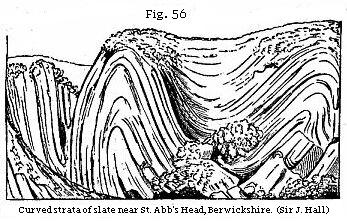 Fig. 56: Curved strata of slate near St. Abb's Head, Berwickshire.