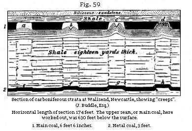 Fig. 59: Section of carboniferous strata at Wallsend showing 'creeps'.