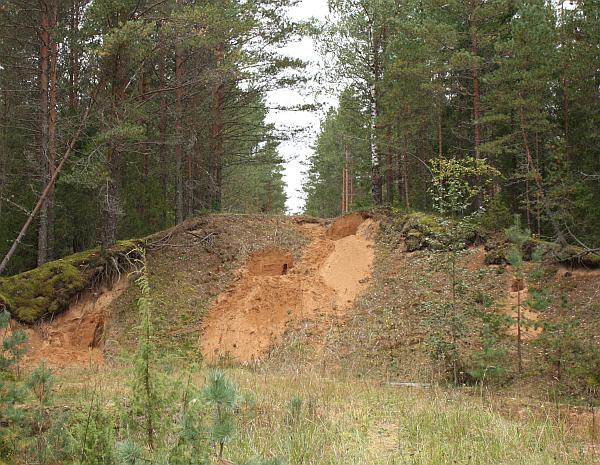 Straight kriiva cross section Straight kriiva cross section